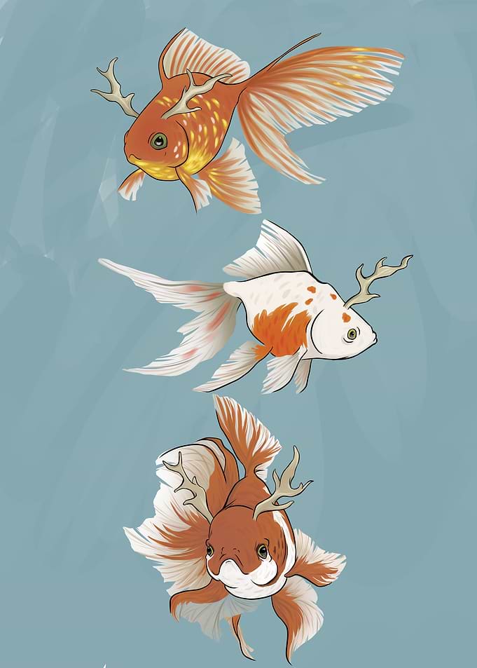 Goldfish