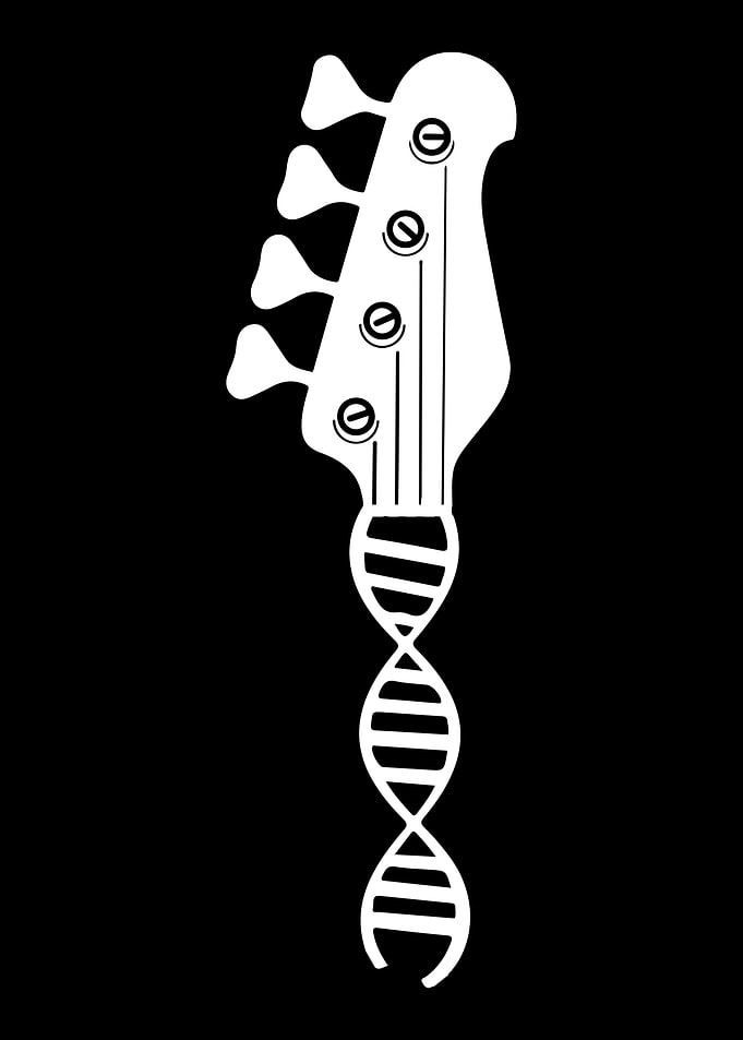 Bass Guitar Bassist Dna