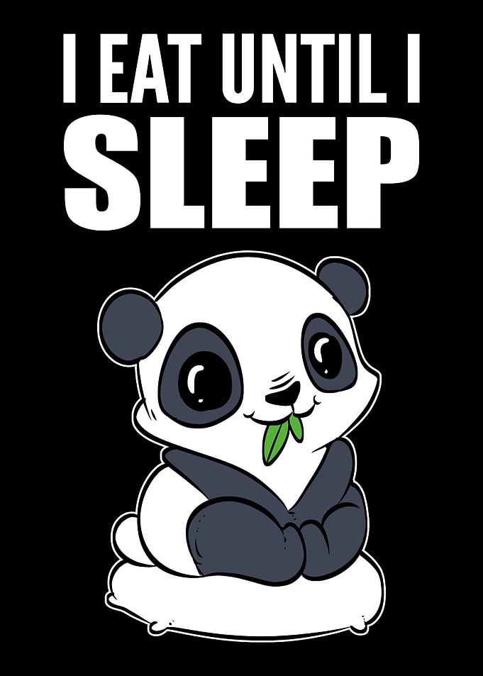 Until I Sleep Insomniac Gi