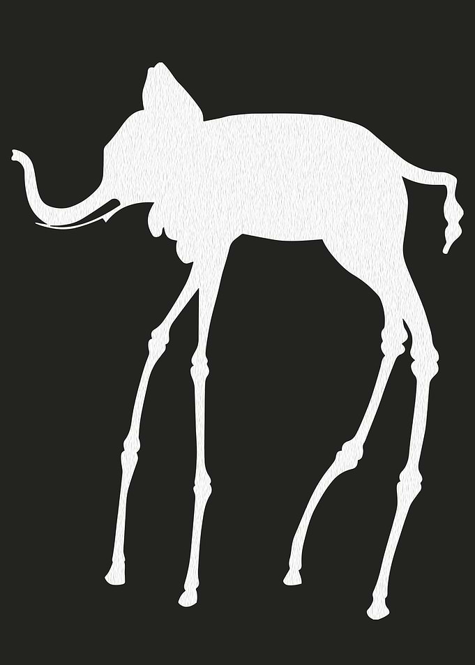 White Elephant by Dali