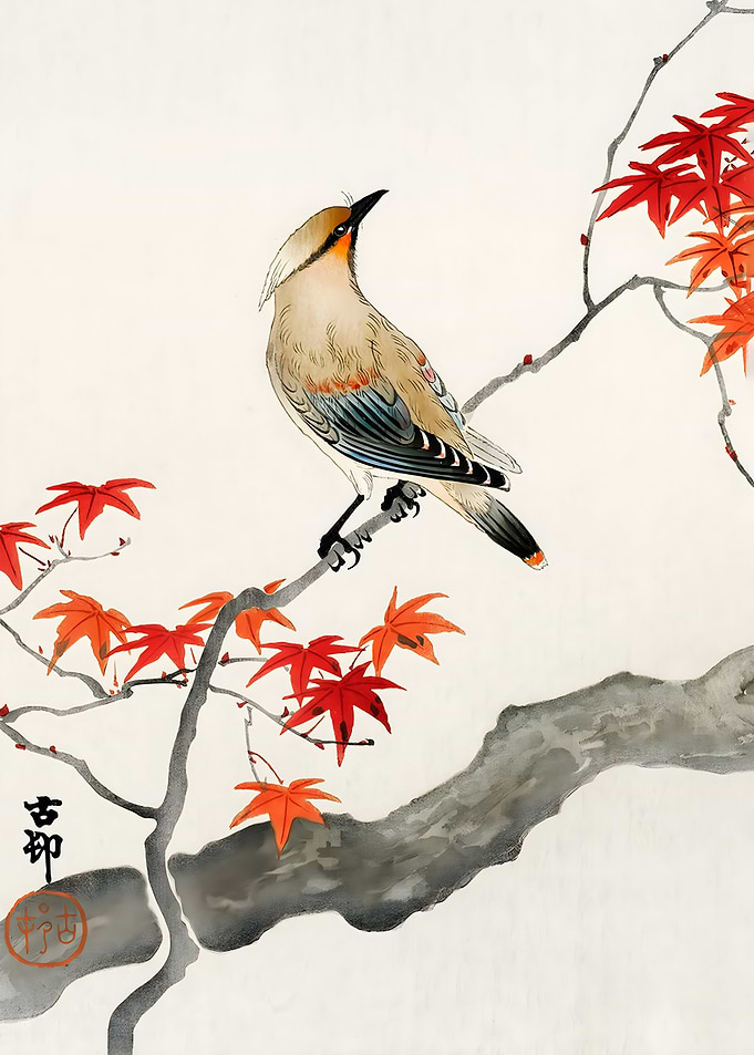 Ukiyo e plague bird on map