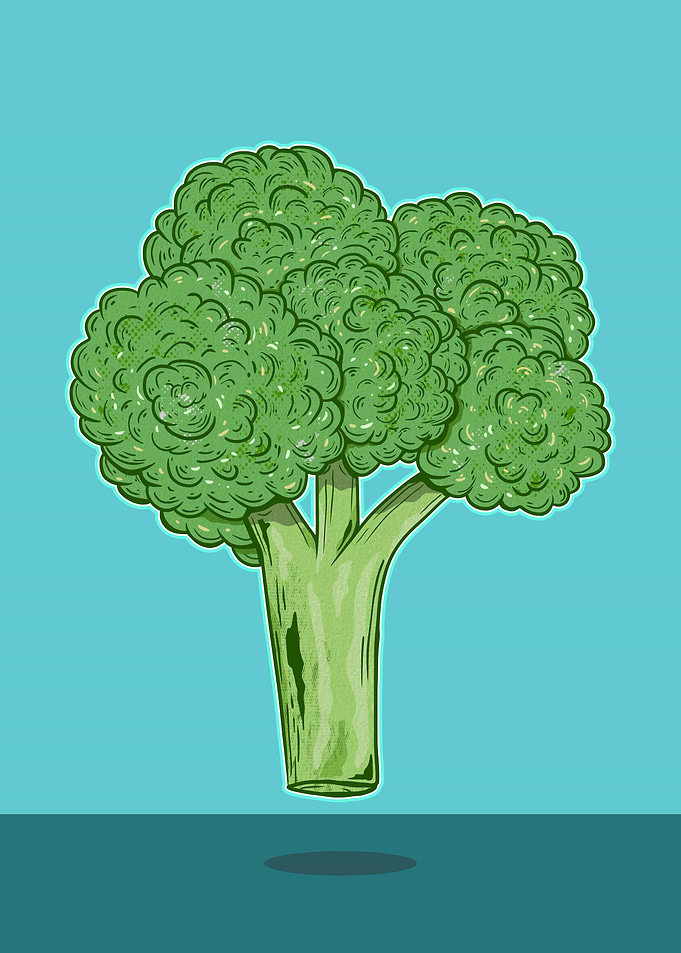 Head of broccoli