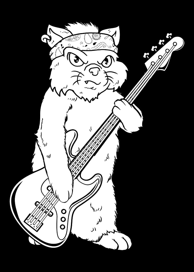 Bass Guitar Bassist Cat