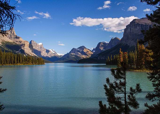 Maligne Lake View