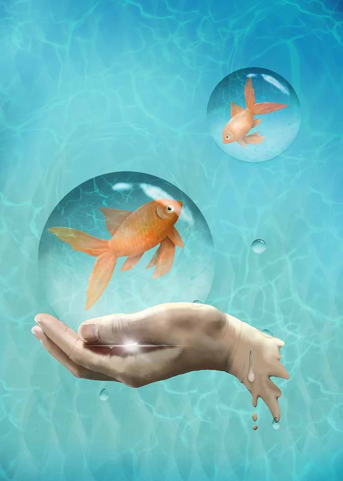 Two little fish