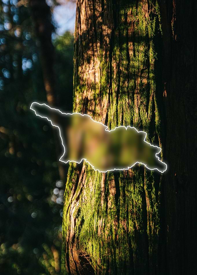 Georgia Country Map