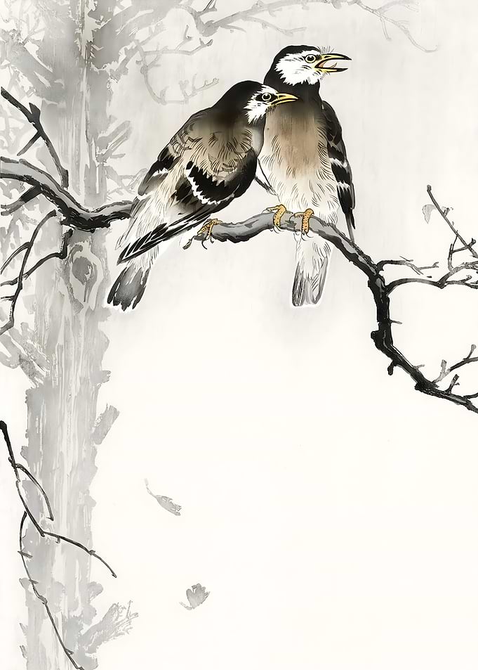 Ukiyo e Two gray starlings
