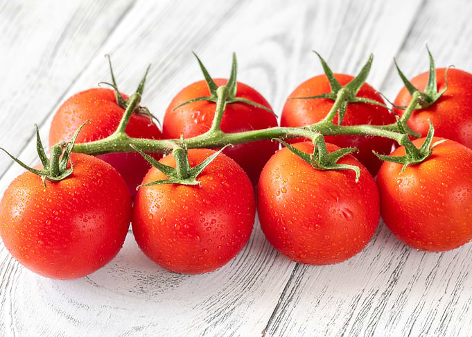 Ripe tomato branch