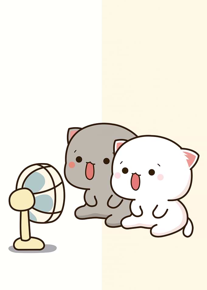 bear cute animal