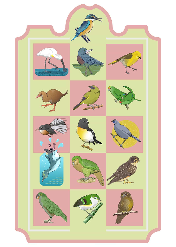 New Zealand Birds