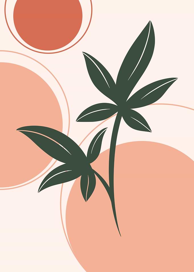 Plant V3