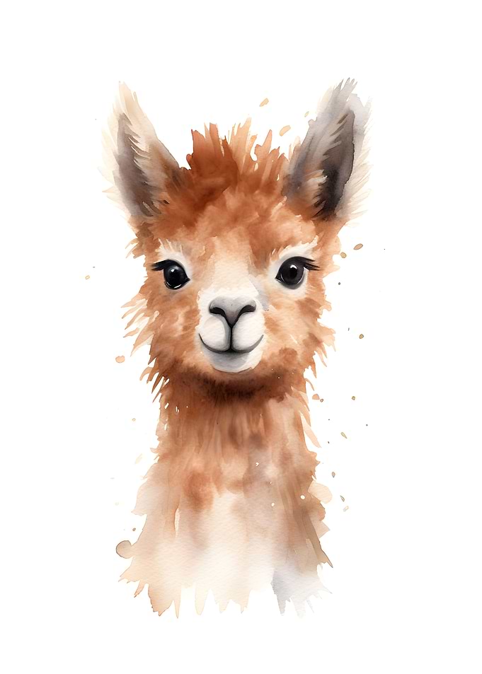 Alpaca Watercolor