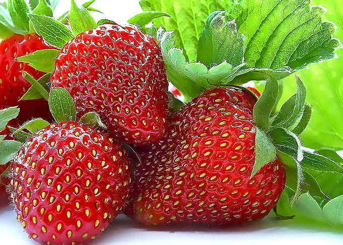 fresh fruits