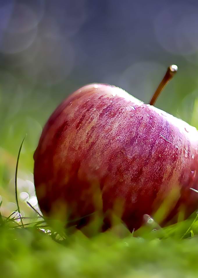 fresh fruits