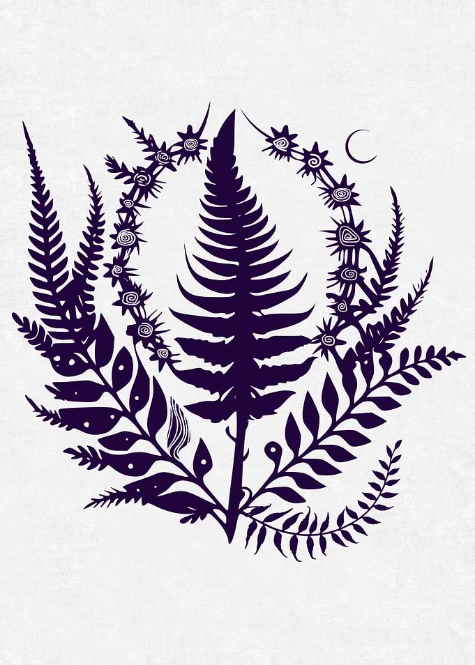 Witch Fern