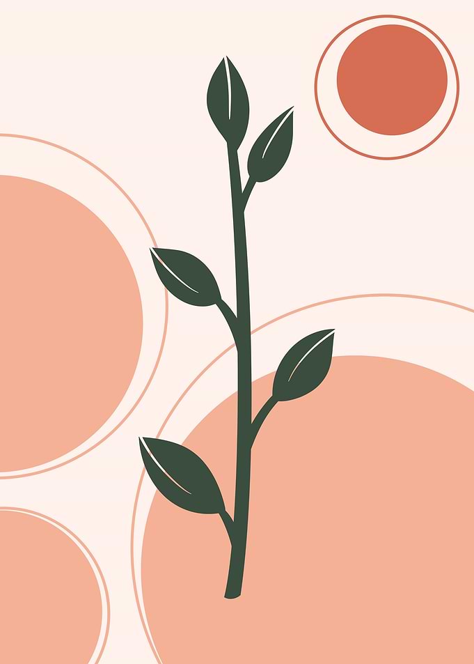 Plant V7