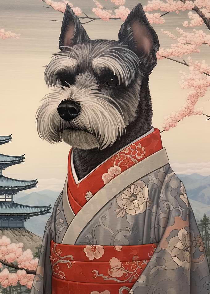 Schnauzer Geisha