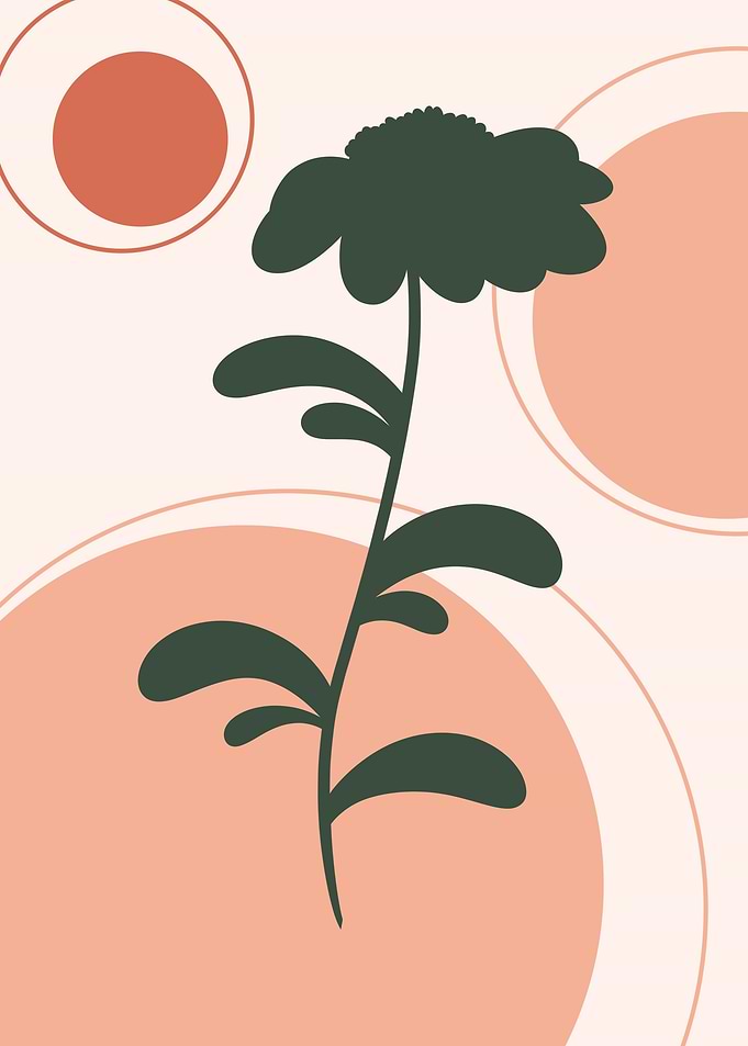 Plant V5
