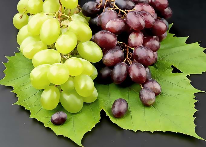 fresh fruits