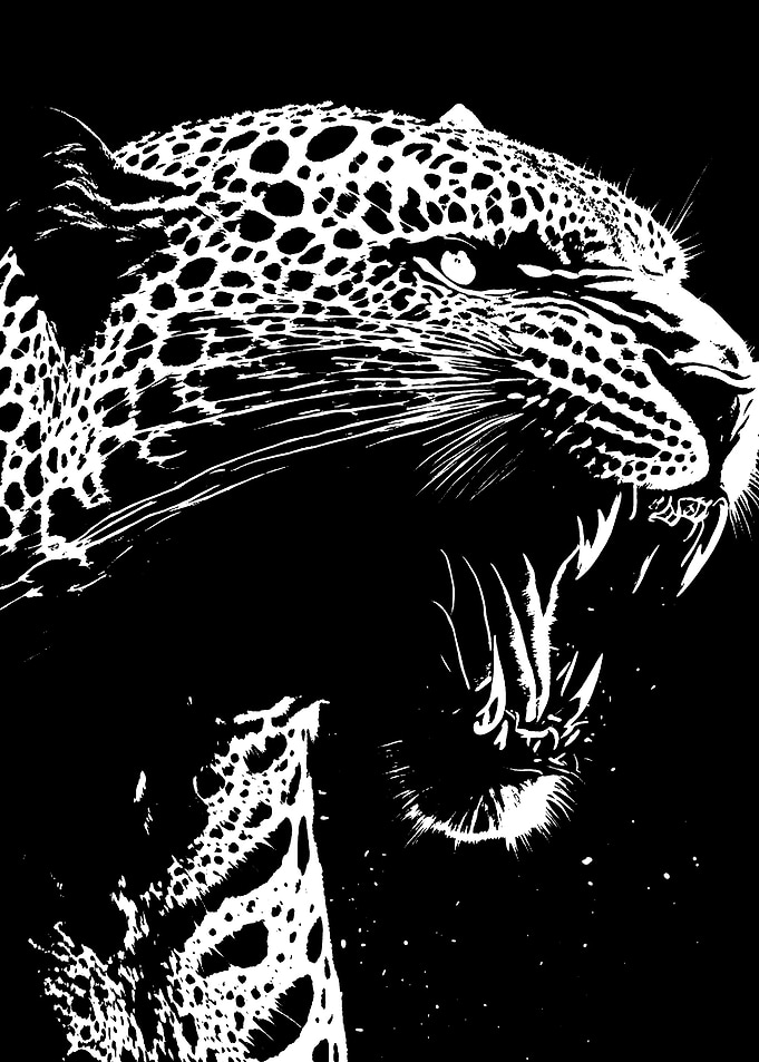 animal