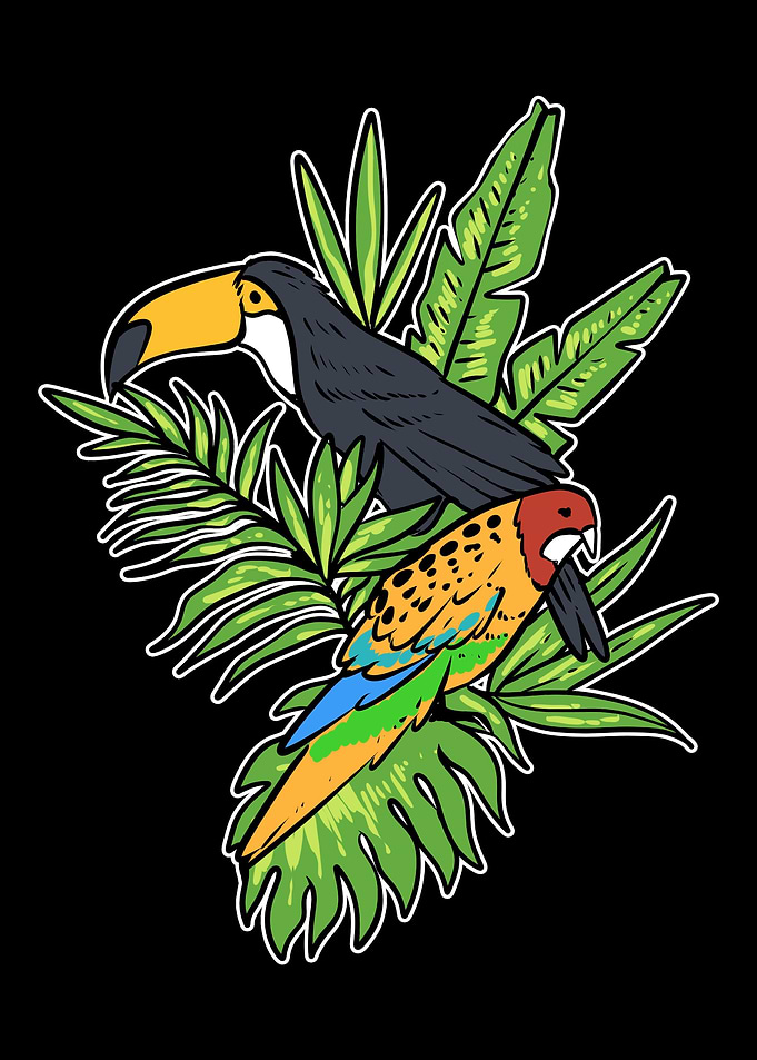 Beautiful Birds Ornitholog