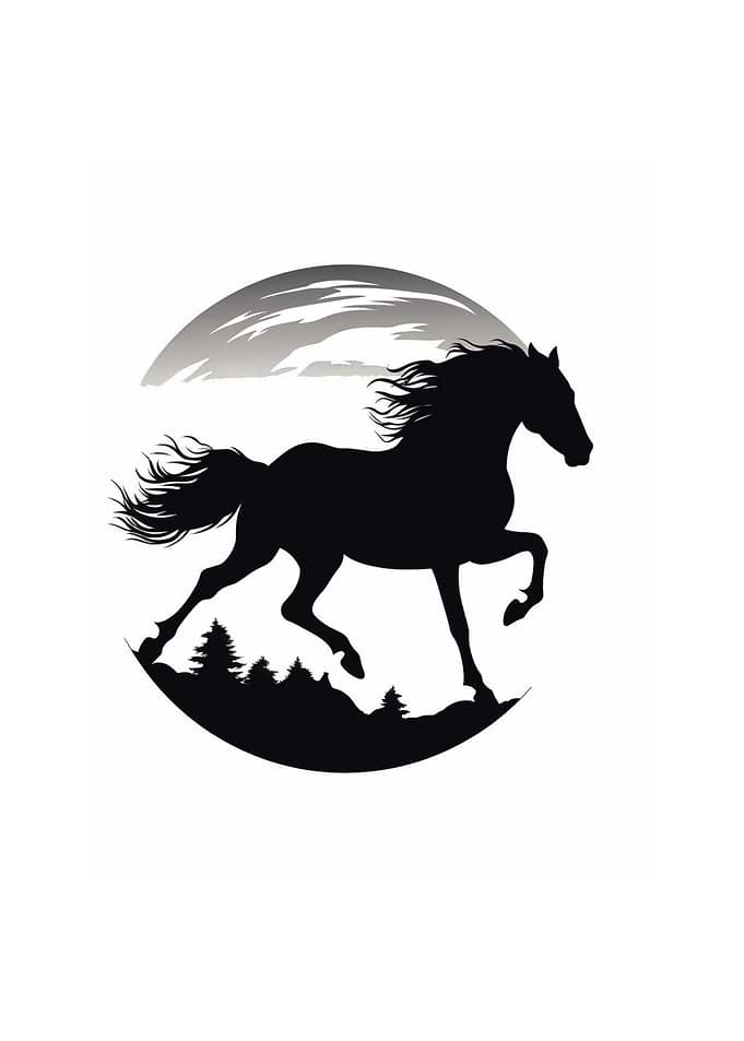 Horse Full Gallop