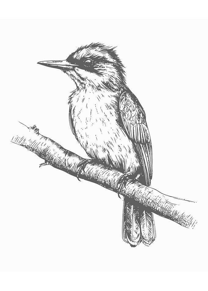 Sketch of bird hand draw