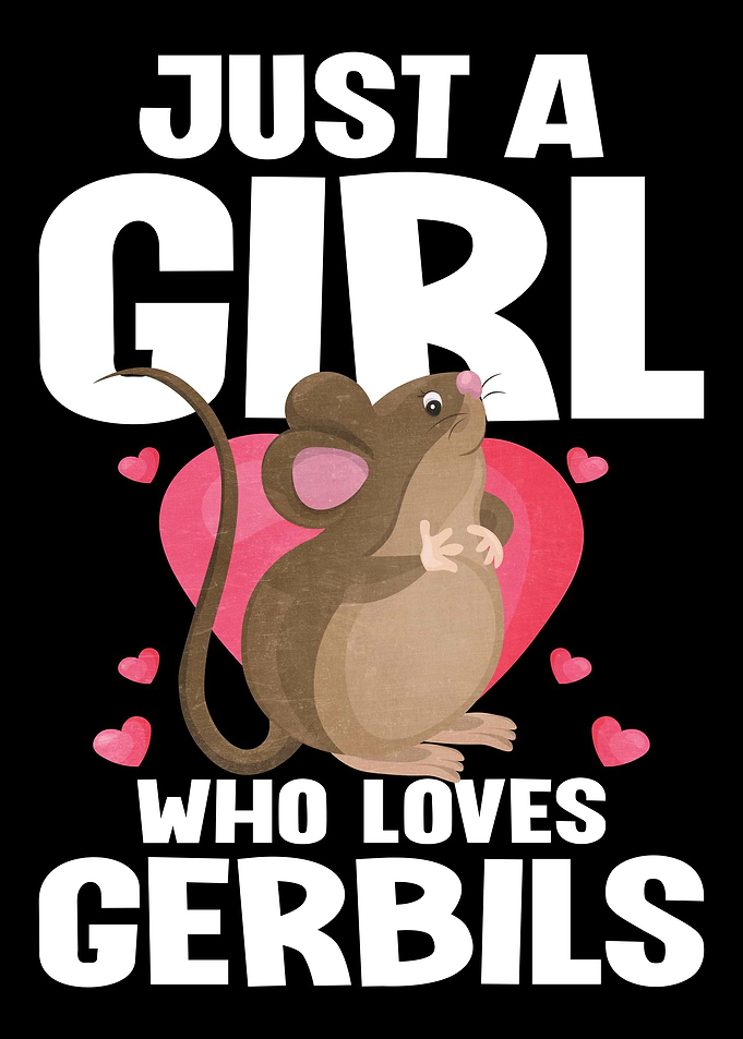Just A Girl Gerbils