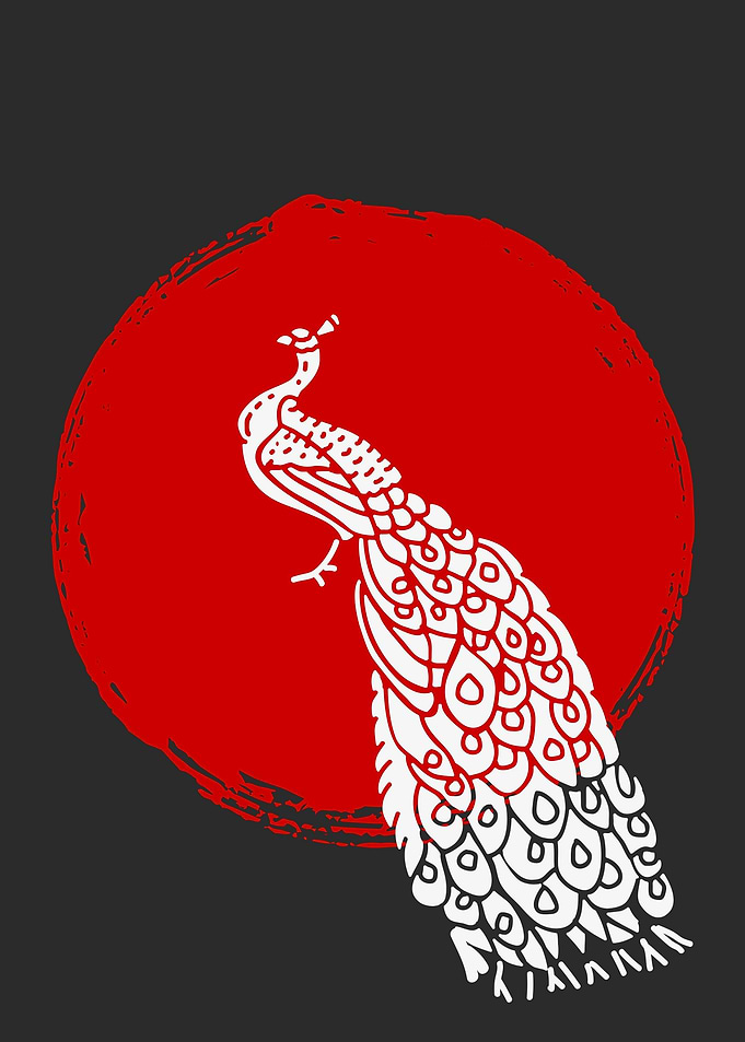 Peacock At The Sunset