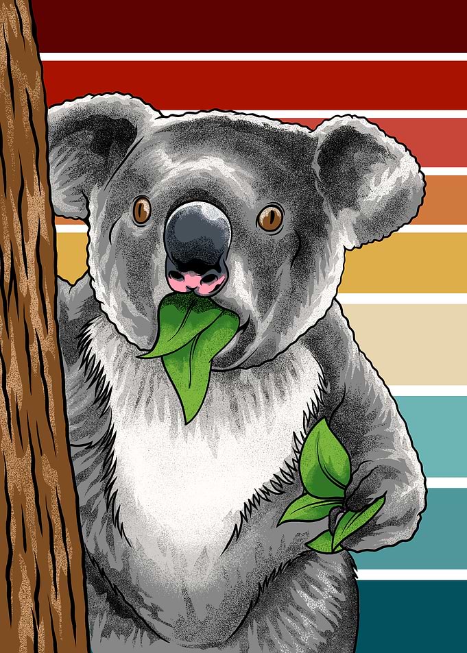 Surprised Koala Meme