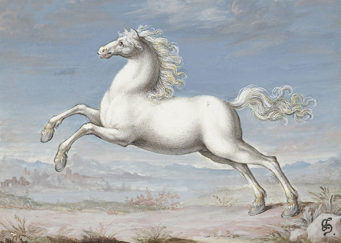 White Horse