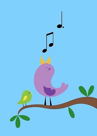 BIRDS