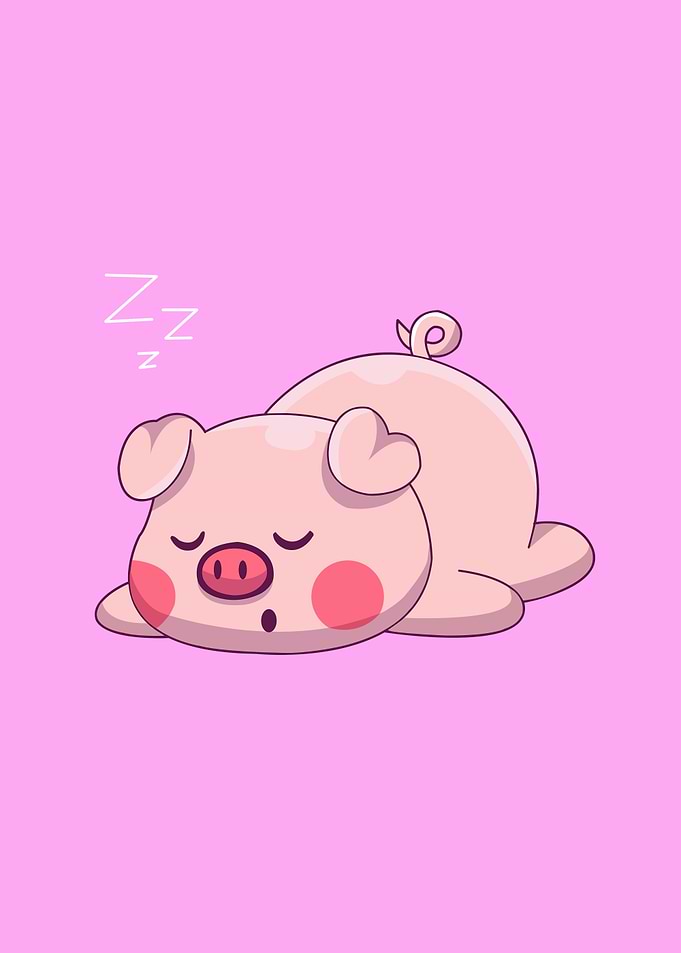 pig cute animal