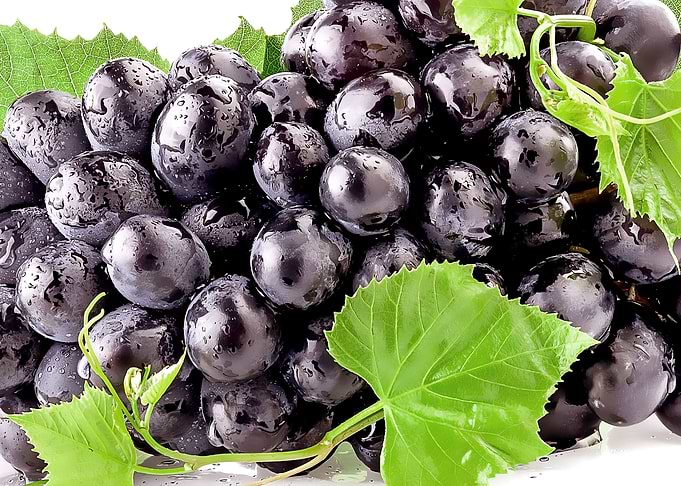 organic fruits
