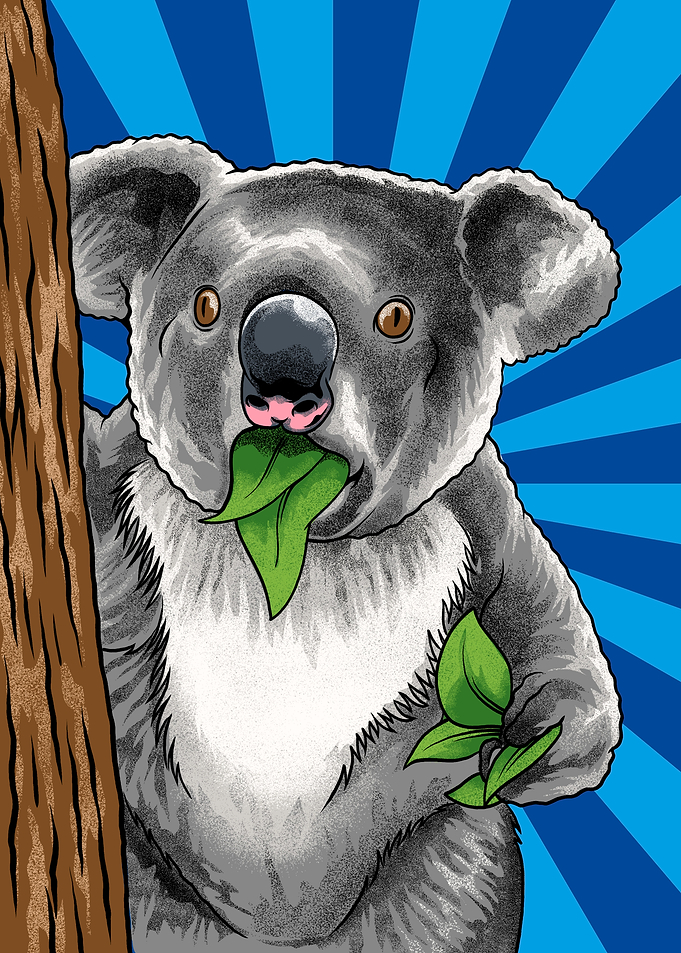 Funny Koala