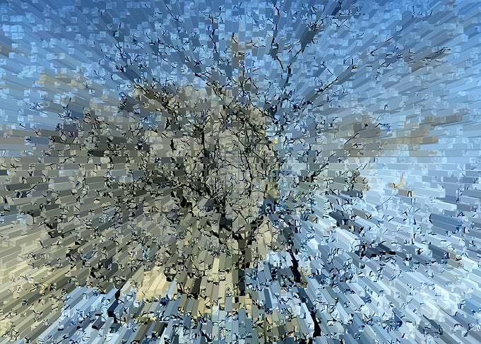 Abstract winter forest sky