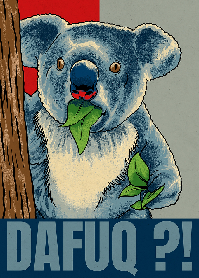 Surprised Koala