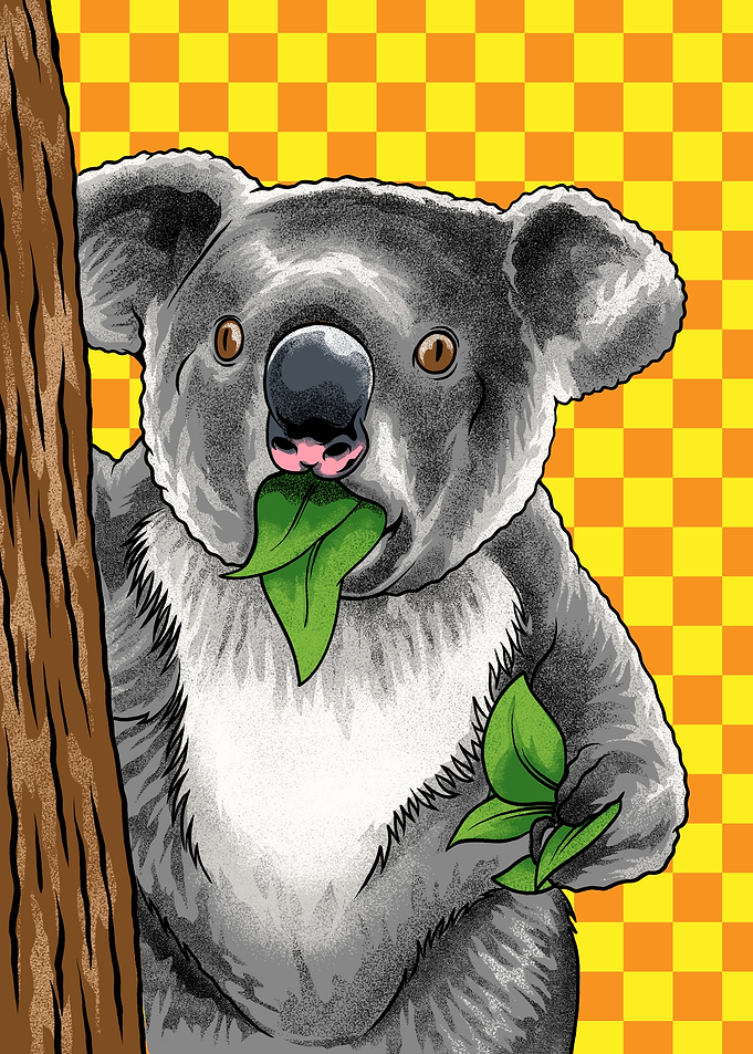 Funny Koala