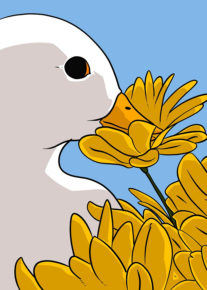 flowers duck
