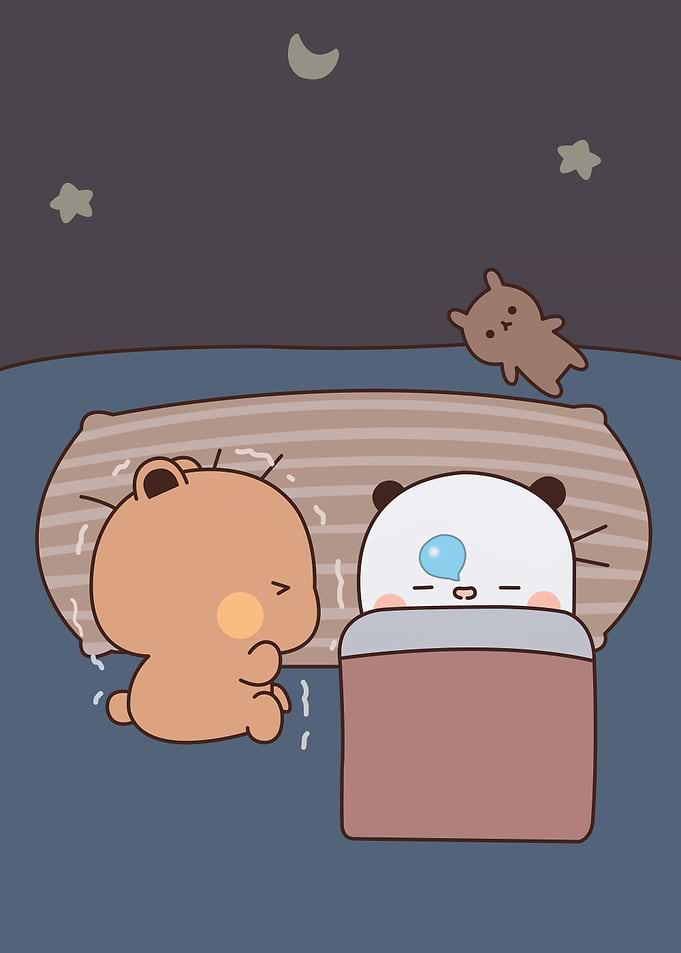bear cute animal