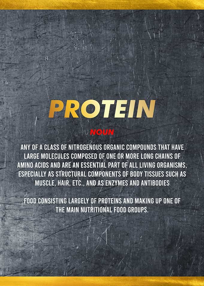 protein definition art