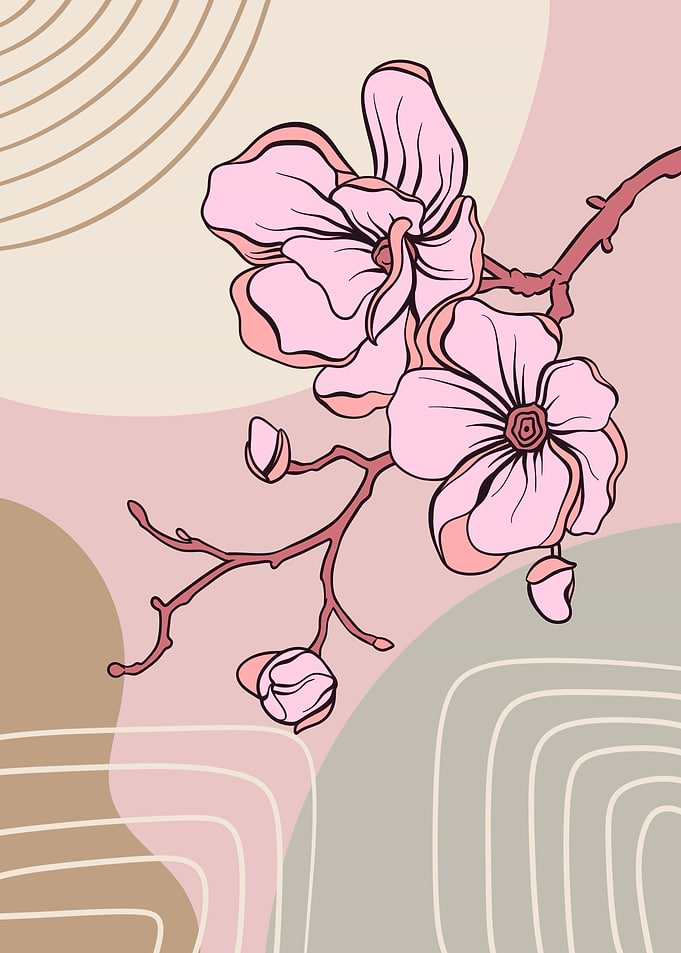 Magnolia Flowers