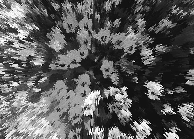 Black and white floral