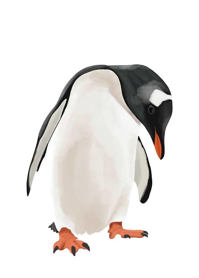 Cute Penguin