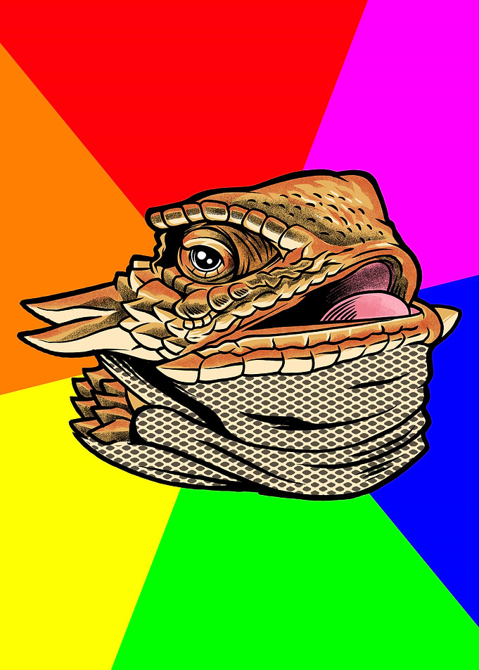 Funny Lizard