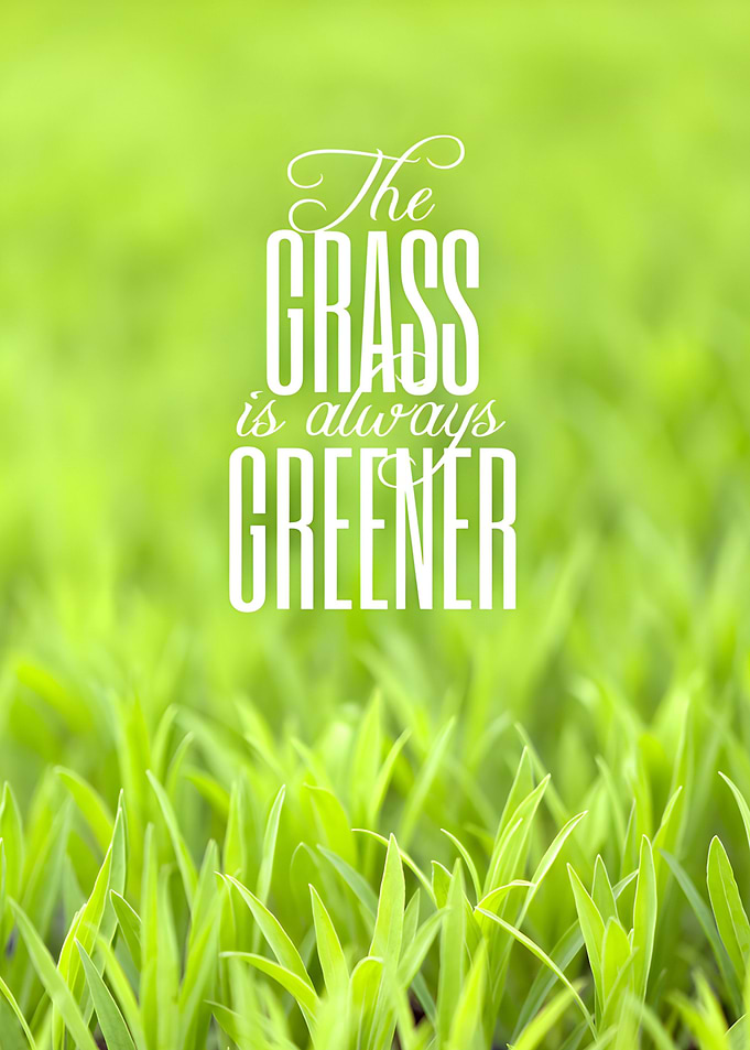 Quote Motivational