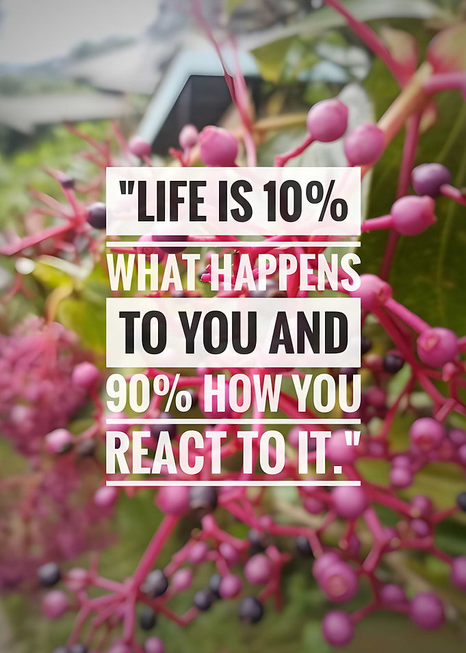 Quote Motivational