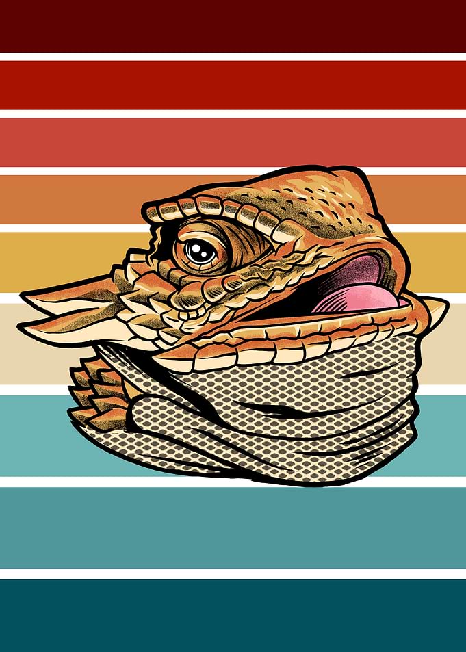 Funny Lizard