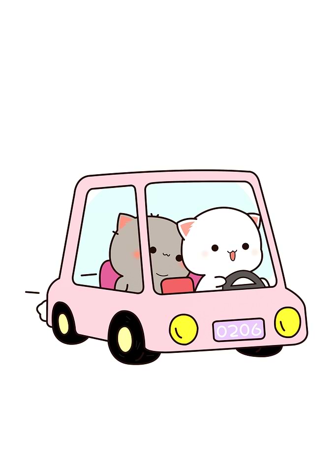 bear cute animal