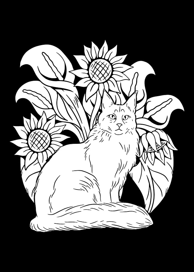 Cat Sunflower